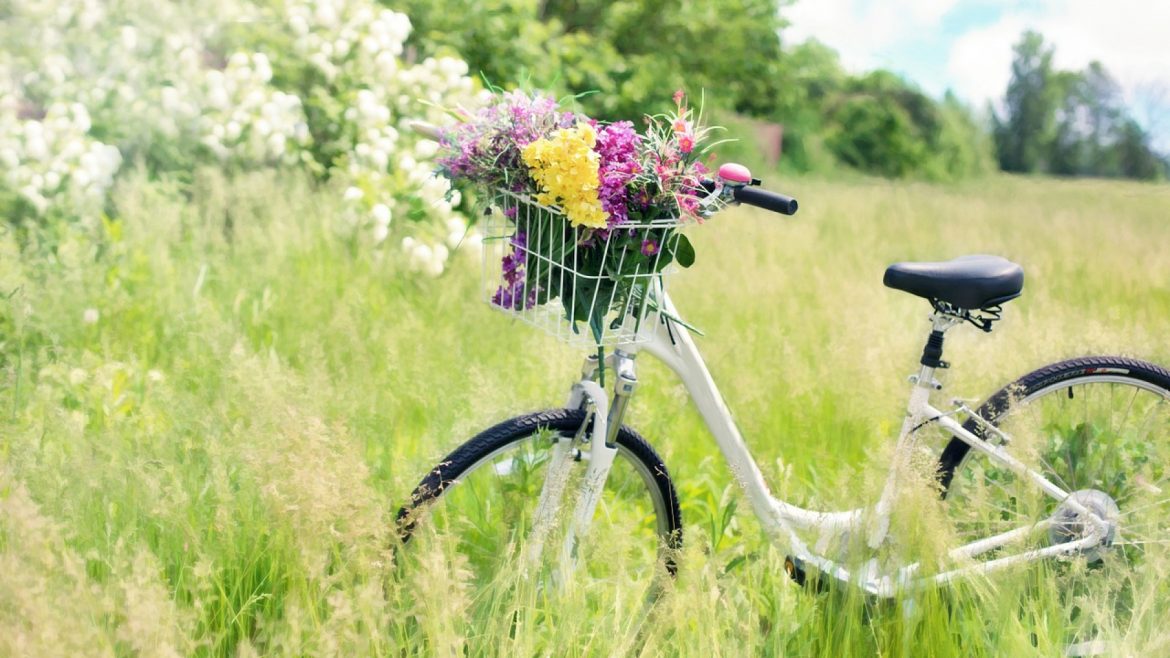 Déguster une bonne gaufre après une sortie à vélo