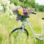 Déguster une bonne gaufre après une sortie à vélo