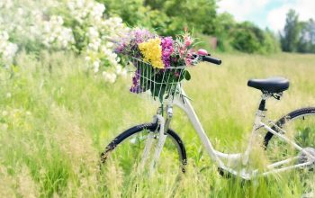 Déguster une bonne gaufre après une sortie à vélo