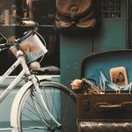 Le vélo électrique révolutionne tous les déplacements