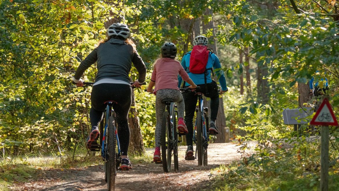 Escapade en vélo sur l’île d’Oléron : une aventure exceptionnelle à ne pas manquer