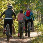 Escapade en vélo sur l'île d'Oléron : une aventure exceptionnelle à ne pas manquer