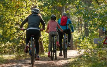 Escapade en vélo sur l'île d'Oléron : une aventure exceptionnelle à ne pas manquer